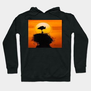 Marrakesh Stork. Hoodie